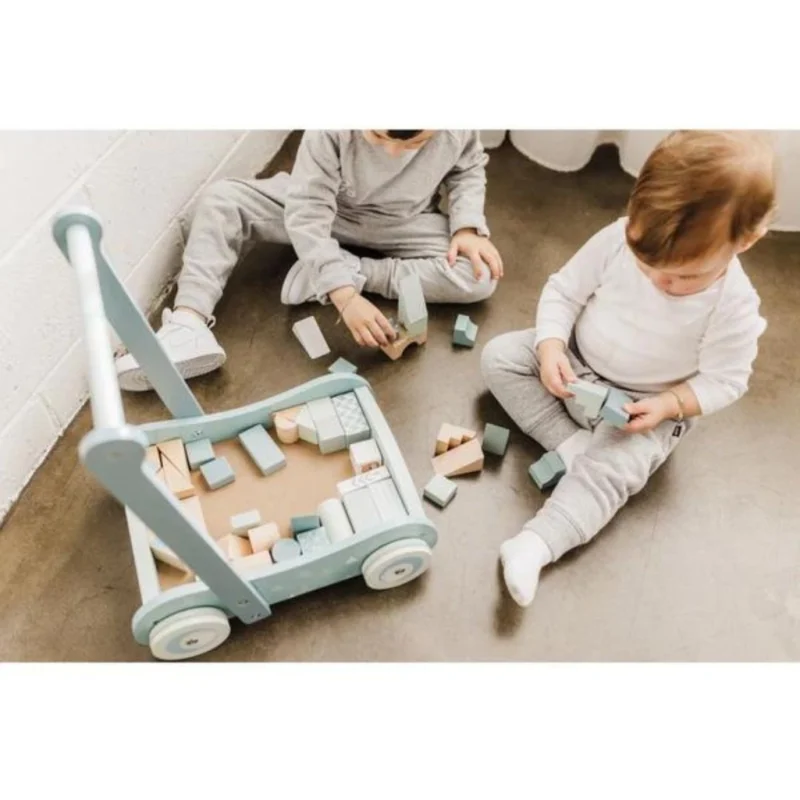 Bubble Wooden Baby Push Cart & Walker with 46 Building Blocks