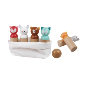 Bubble Wooden Shape Sorting Cube